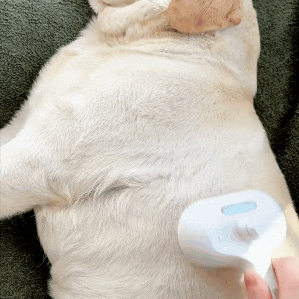 Pupp Safe™ Grooming Brush